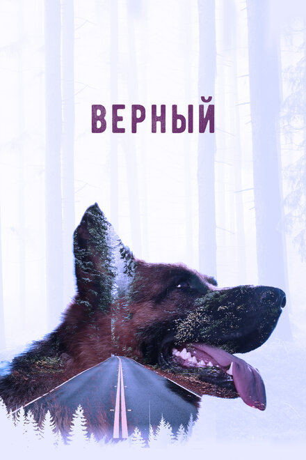 Верный